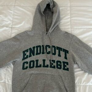 ENDICOTT COLLEGE CHAMPION HOODIE